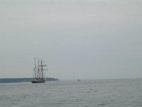 Hanse sail 2010.SANY3367